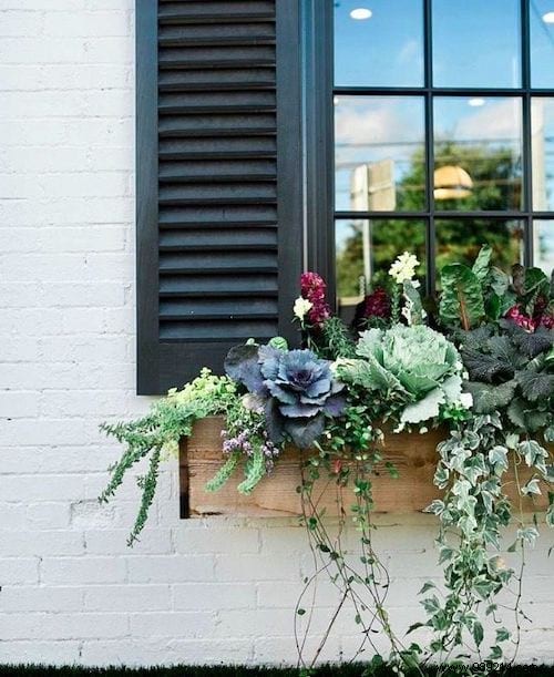 25 Stunning Low-Maintenance Succulent Decoration Ideas for Your Home