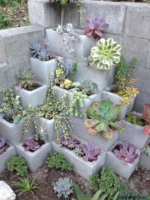 25 Stunning Low-Maintenance Succulent Decoration Ideas for Your Home