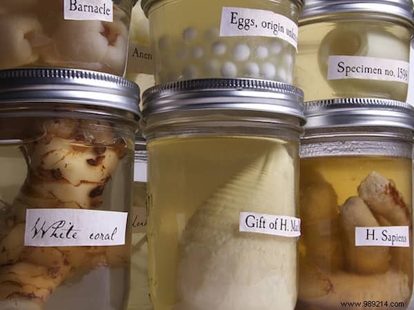 9 Budget-Friendly DIY Halloween Decorations Kids Will Absolutely Love