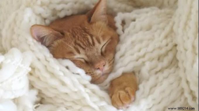 Smart DIY Thread Spool Storage: Transform Old Funnels into Organizers