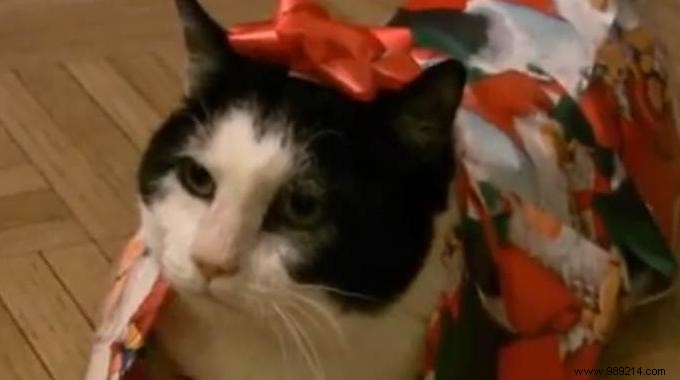 Space-Saving Gift Wrap Storage: Hang Rolls from the Ceiling