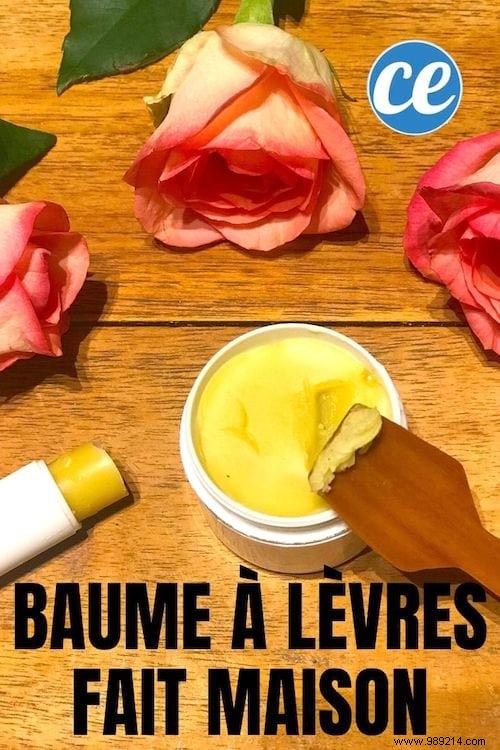 DIY Natural Lip Balm: Easy, Affordable Recipe for Healing Chapped Lips