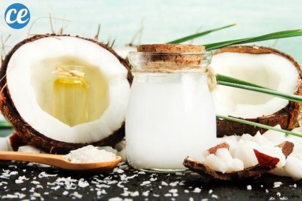 101 Everyday Uses for Coconut Oil: Kitchen, Beauty, Home Care & More