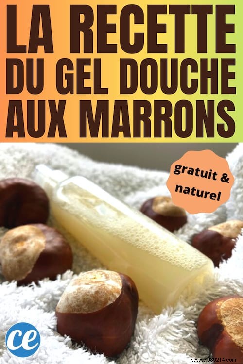 DIY Horse Chestnut Shower Gel: My Simple, Ultra-Moisturizing Natural Recipe