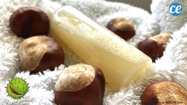 DIY Horse Chestnut Shower Gel: My Simple, Ultra-Moisturizing Natural Recipe