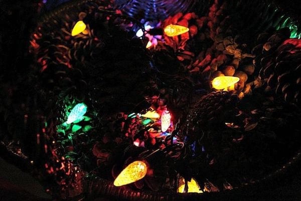 Festive Christmas Garden Decor on a Zero Budget: Proven DIY Ideas from Home