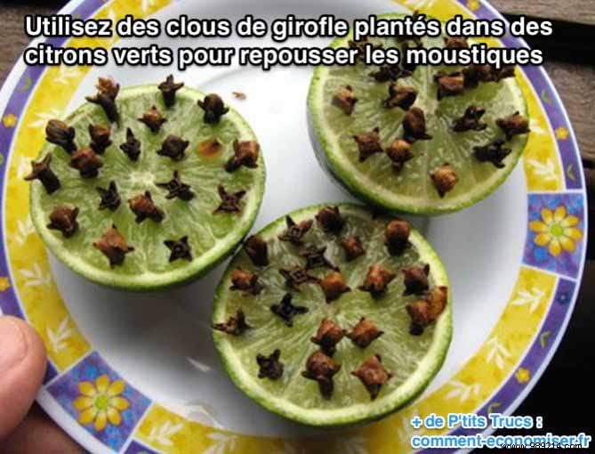 Proven Natural Mosquito Repellent: The Simple Lime and Cloves Trick