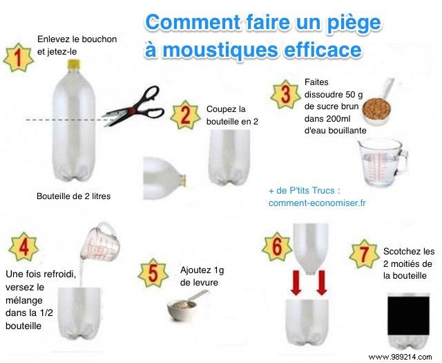 Proven DIY Mosquito Trap: Effective Homemade Solution Using Sugar and Yeast