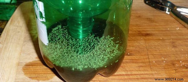 Proven DIY Mosquito Trap: Effective Homemade Solution Using Sugar and Yeast