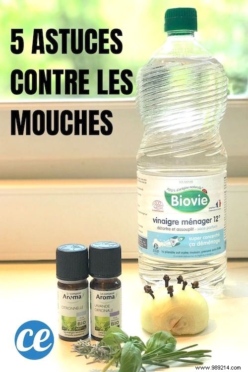 5 Proven Natural Remedies to Repel Flies from Your Home