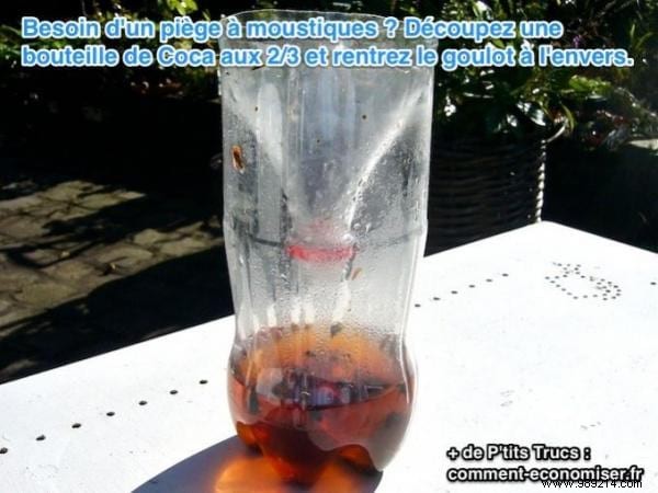 DIY Mosquito Trap: Ready in Just 30 Seconds Using a Soda Bottle