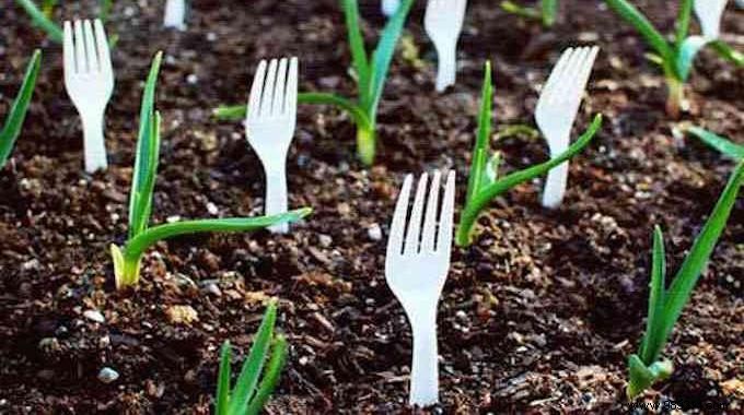 23 Proven Gardening Hacks to Effortlessly Simplify Your Garden Care