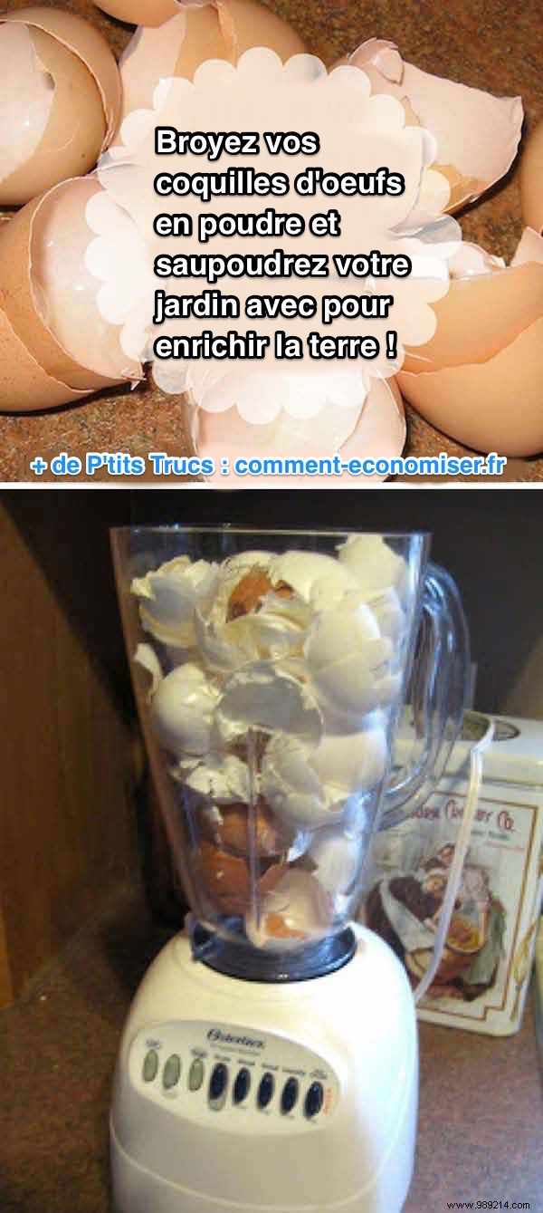 23 Proven Gardening Hacks to Effortlessly Simplify Your Garden Care