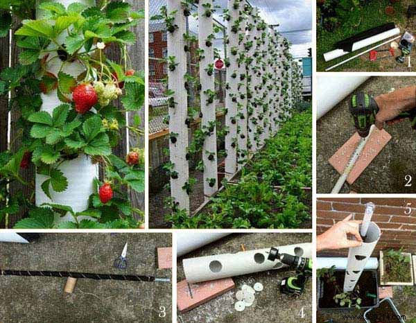 23 Proven Gardening Hacks to Effortlessly Simplify Your Garden Care