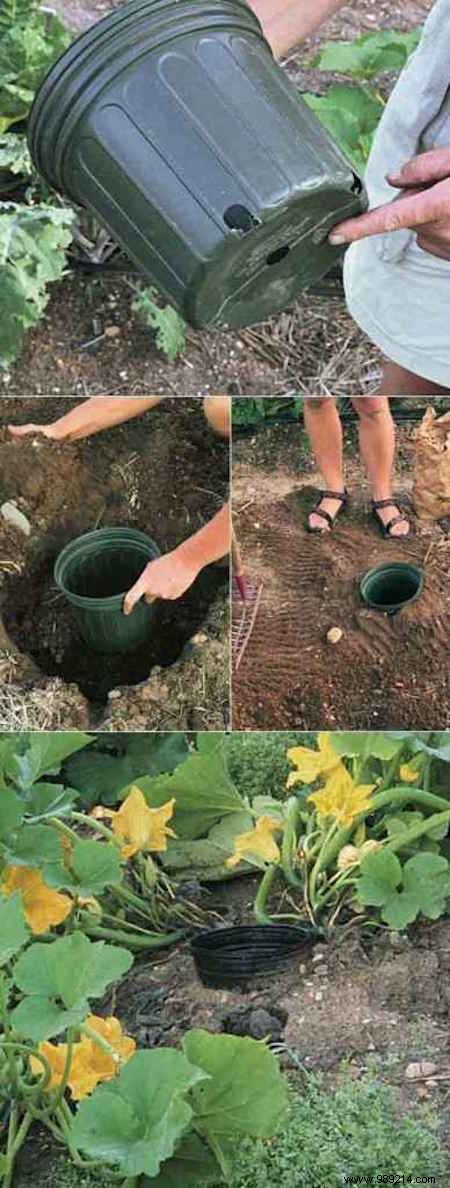 23 Proven Gardening Hacks to Effortlessly Simplify Your Garden Care