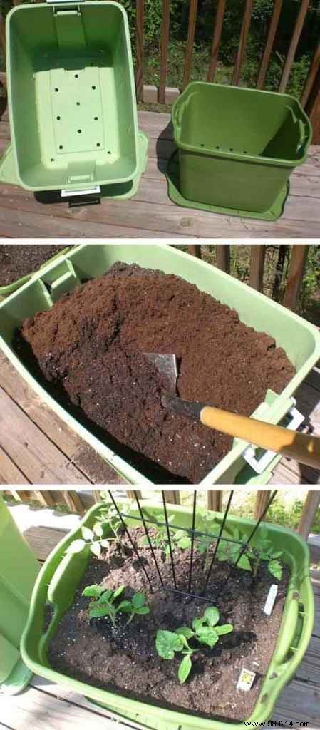 23 Proven Gardening Hacks to Effortlessly Simplify Your Garden Care