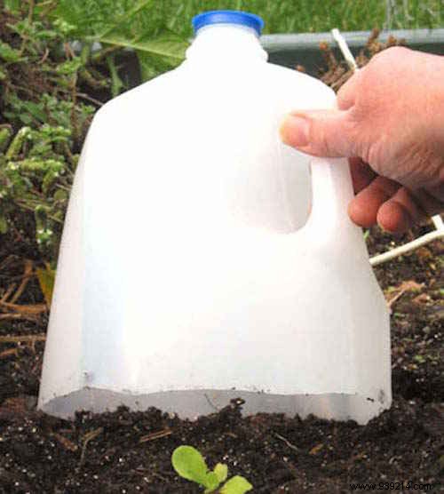 23 Proven Gardening Hacks to Effortlessly Simplify Your Garden Care