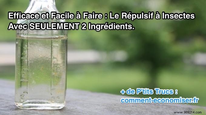 Simple DIY Insect Repellent Oil: Effective Protection with Just 2 Ingredients