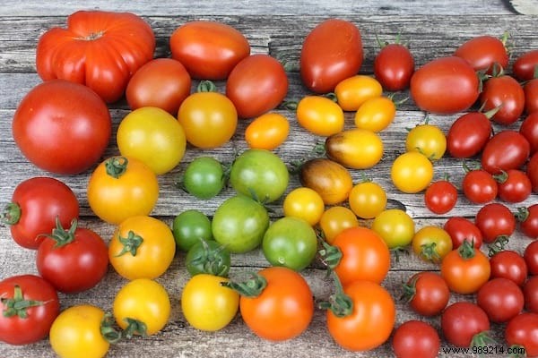 10 Proven Market Gardening Tips for Growing Juicy, Beautiful Tomatoes