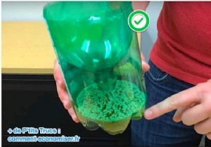 Proven DIY Mosquito Trap: Banish Bugs from Your Summer Gatherings in Seconds