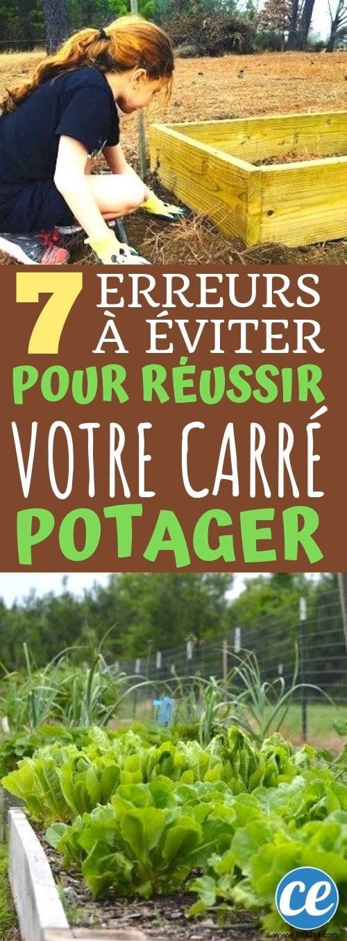 7 Beginner Mistakes to Avoid for a Thriving Raised Vegetable Garden on Your First Try