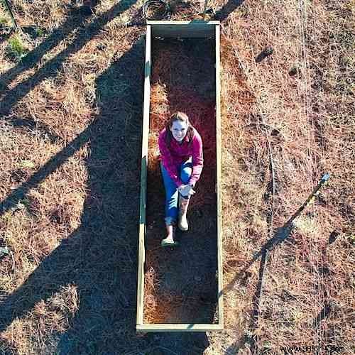 7 Beginner Mistakes to Avoid for a Thriving Raised Vegetable Garden on Your First Try