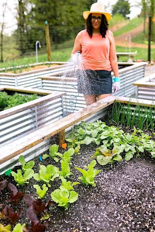 7 Beginner Mistakes to Avoid for a Thriving Raised Vegetable Garden on Your First Try