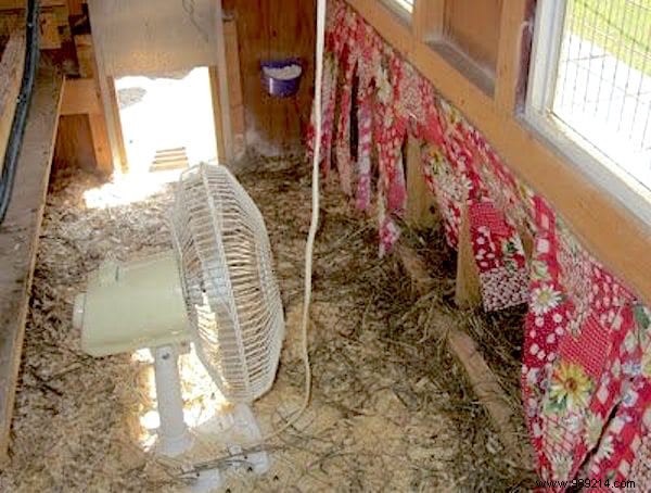 6 Proven Natural Methods to Eliminate Flies from Your Chicken Coop