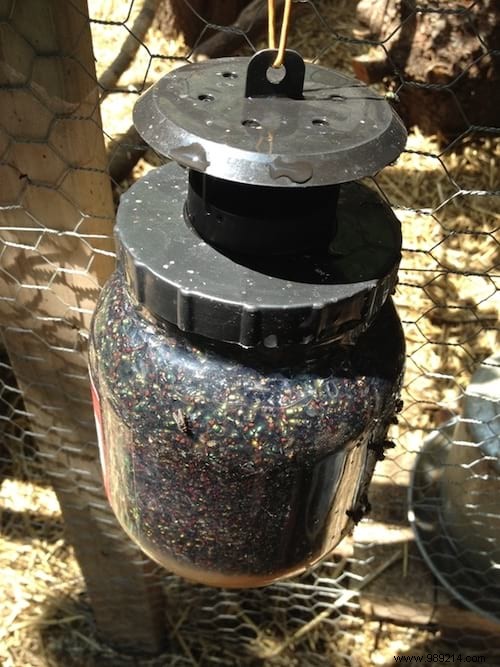 6 Proven Natural Methods to Eliminate Flies from Your Chicken Coop