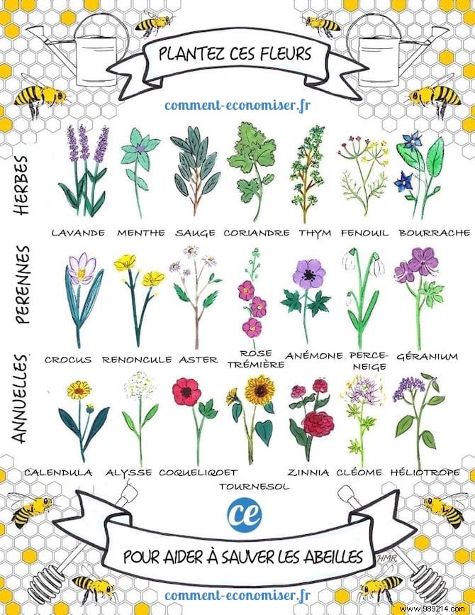 22 Bee-Friendly Flowers to Plant in Your Garden and Support Pollinators