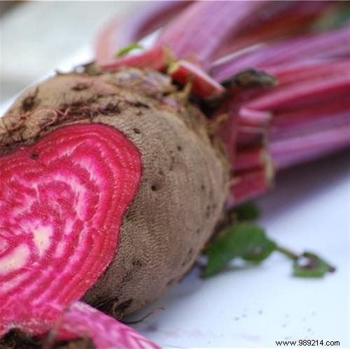 10 Proven Tips for Growing Vibrant, Nutritious Beets in Your Home Garden