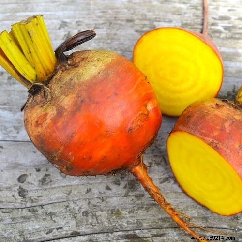 10 Proven Tips for Growing Vibrant, Nutritious Beets in Your Home Garden