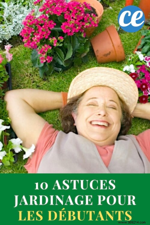 10 Essential Gardening Tips Every Beginner Should Know