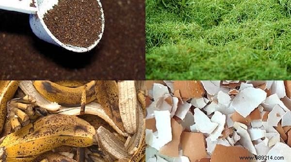 10 Essential Gardening Tips Every Beginner Should Know