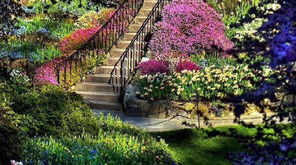 10 Essential Gardening Tips Every Beginner Should Know