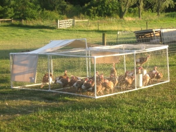 20 Proven PVC Pipe Hacks for Smarter Gardening: Easy DIY Projects