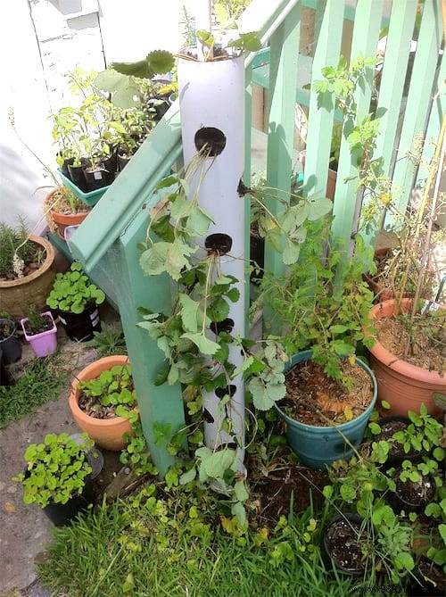20 Proven PVC Pipe Hacks for Smarter Gardening: Easy DIY Projects