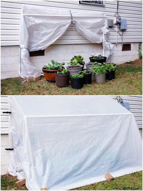 20 Proven PVC Pipe Hacks for Smarter Gardening: Easy DIY Projects
