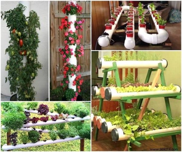 20 Proven PVC Pipe Hacks for Smarter Gardening: Easy DIY Projects