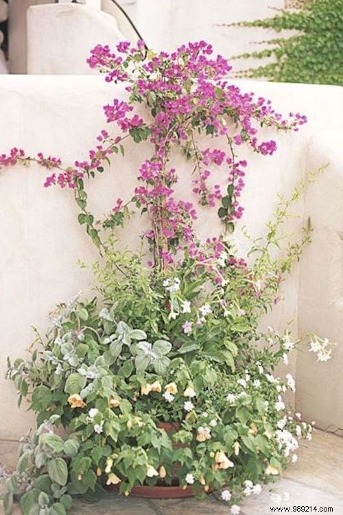 16 Easy and Creative Planter Ideas to Transform Your Garden