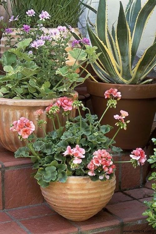 16 Easy and Creative Planter Ideas to Transform Your Garden