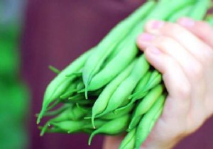 10 Proven Tips for Growing Tender, Delicious Green Beans at Home