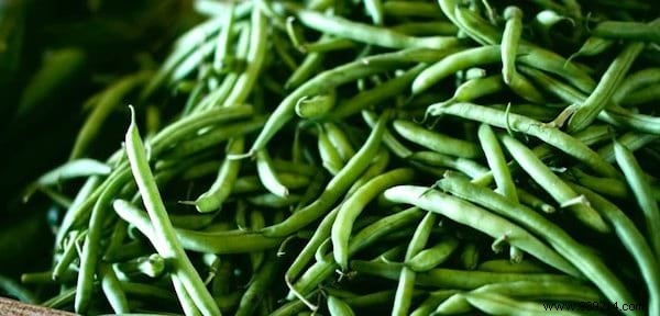 10 Proven Tips for Growing Tender, Delicious Green Beans at Home