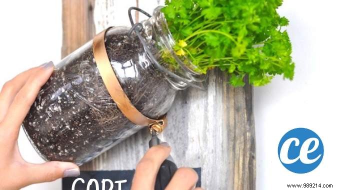 Transform Old Glass Jars into a Stylish Kitchen Herb Garden: Easy DIY Guide