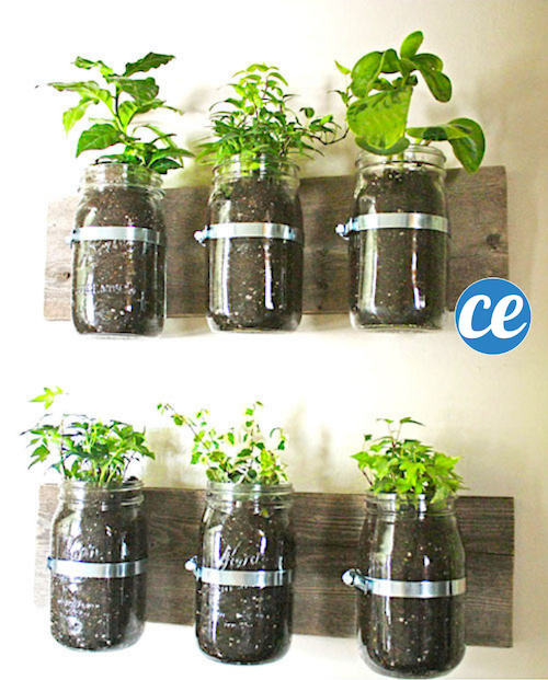 Transform Old Glass Jars into a Stylish Kitchen Herb Garden: Easy DIY Guide