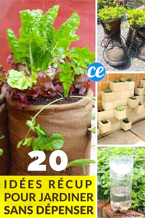 20 Genius Recycling Ideas to Save Money and Transform Your Garden