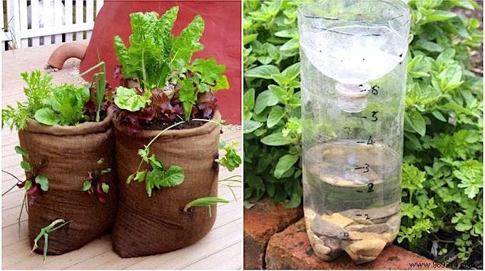 20 Genius Recycling Ideas to Save Money and Transform Your Garden