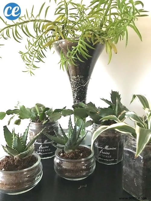 20 Genius Recycling Ideas to Save Money and Transform Your Garden