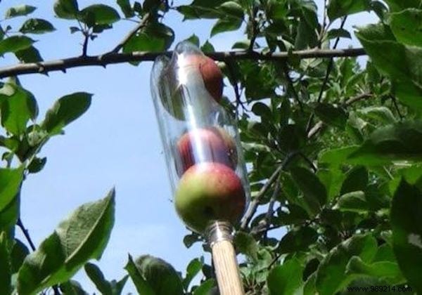 20 Genius Recycling Ideas to Save Money and Transform Your Garden