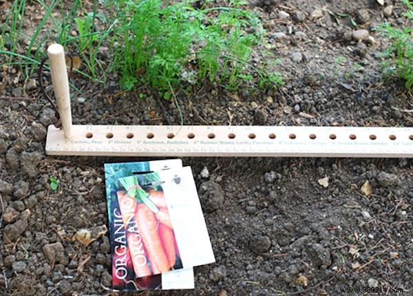 20 Genius Recycling Ideas to Save Money and Transform Your Garden